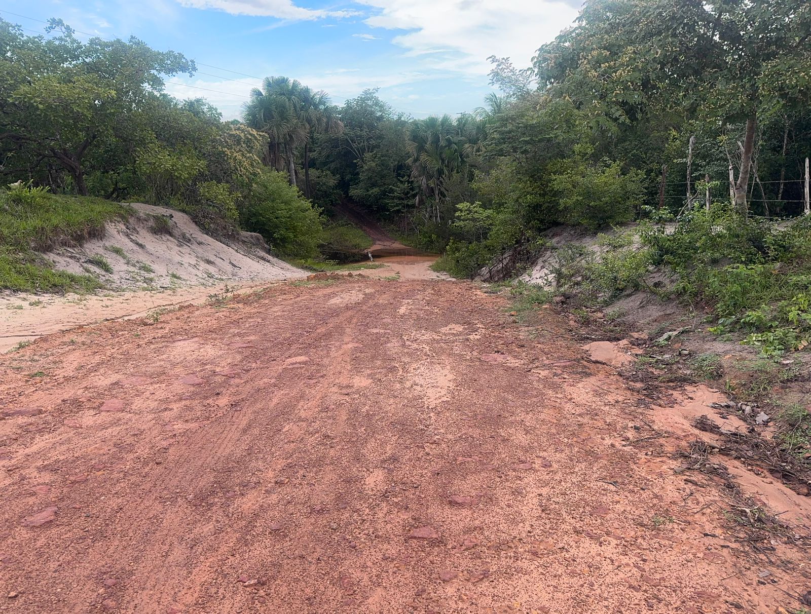 Descaso da Prefeitura de Santo Amaro coloca crianças em risco na estrada do povoado Baixa Funda